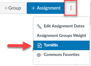 arrow points to Turn it in selection located under plus assignment option