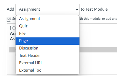 In the add item dialog box, the page item is selected