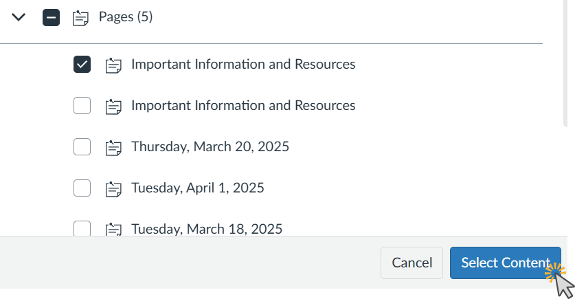 List of pages with titles and dates including 'Important Information and Resources' and 'Thursday March 20 2025'