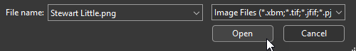 User opens image from computer