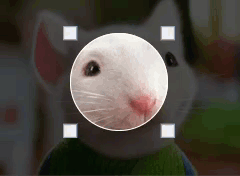 User resizes portrait cropping tool