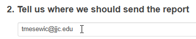 User enters email address to where the report should be sent