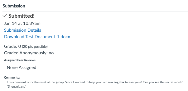 Submission details for a document named document has a grade of 0 out of 20 possible points graded anonymously No peer reviews were assigned.png