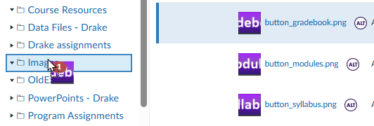 Button for grading assignments.png