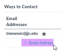 Contact email address with a star and a button to add more email addresses